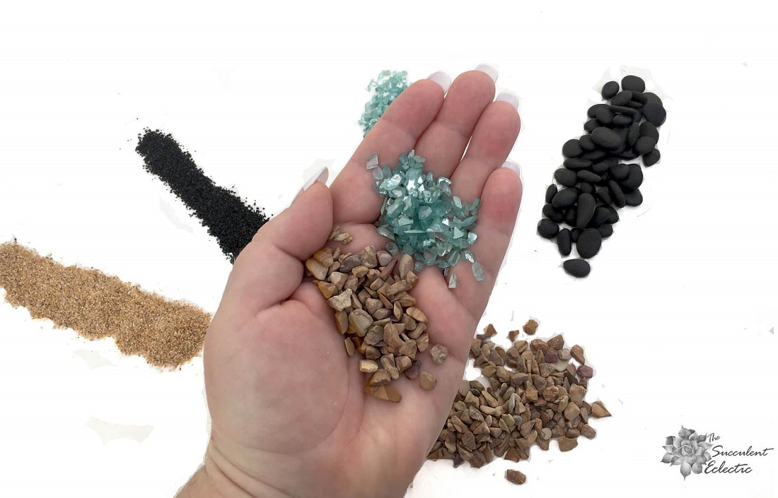 Top Dressing for Succulents Why Use It? The Succulent Eclectic