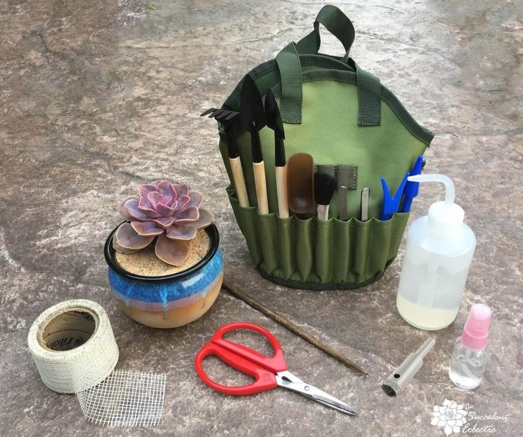 succulent tools kit bag with essential tools with drill bit TSE