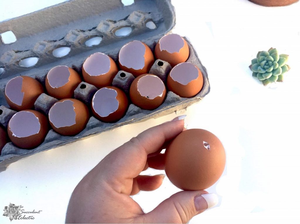add drainage to eggshell planters