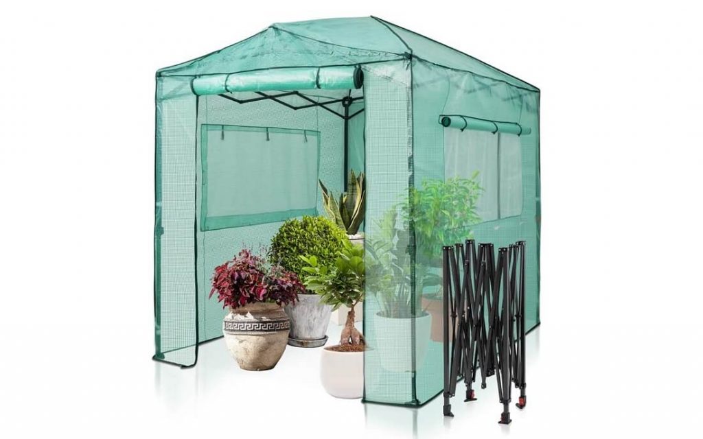 portable greenhouse helps succulents survive the winter