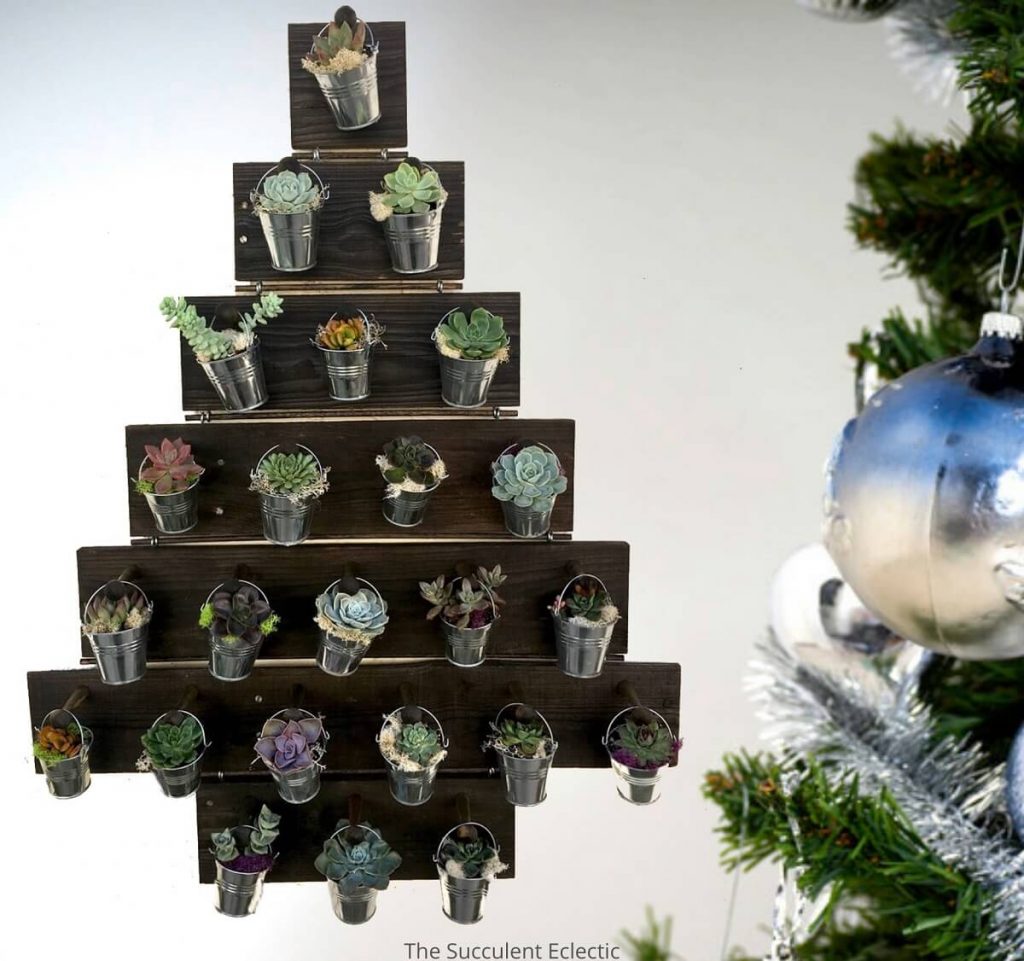 DIY Advent Calendar Tree w/ Succulents! The Succulent Eclectic