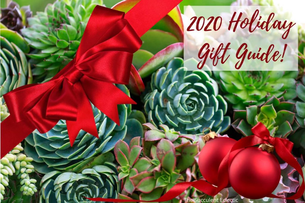 2020 holiday succulent gift ideas