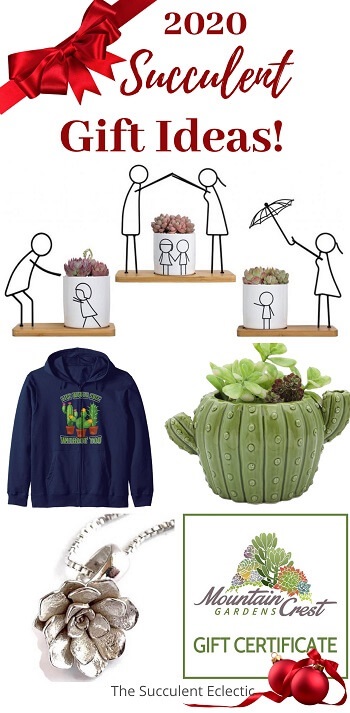 2020 succulent gift ideas