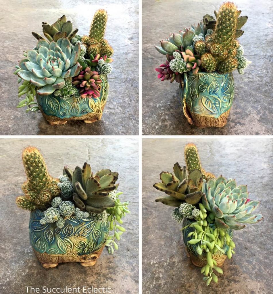 4 views of completed cactus and succulent arrangement