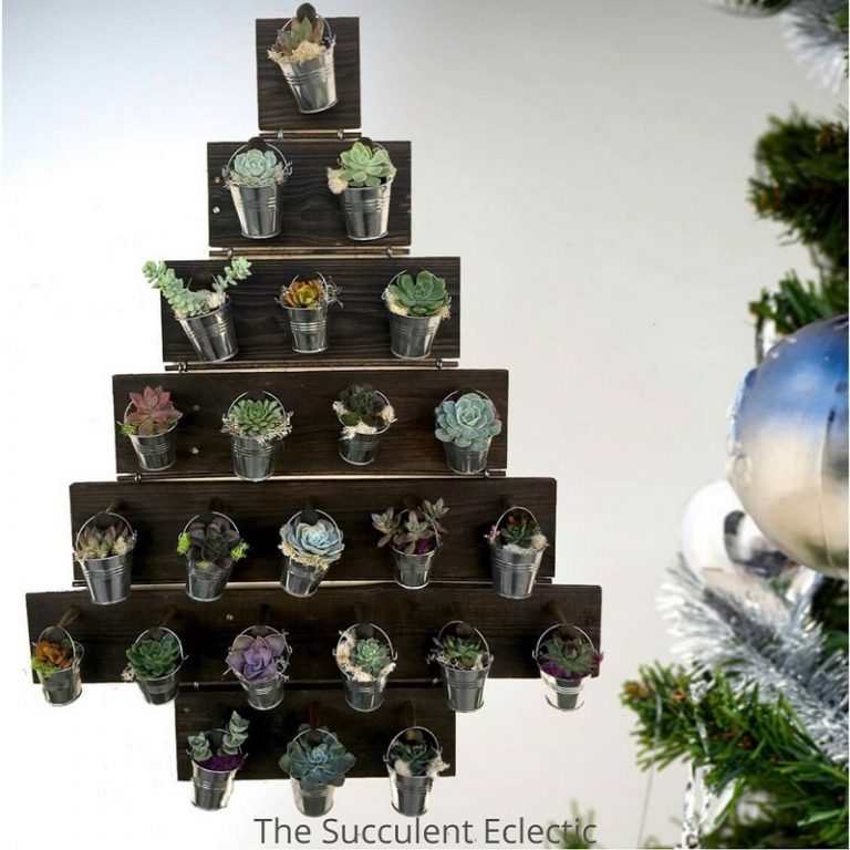 diy succulent advent calendar tree makes wonderful succulent decorations