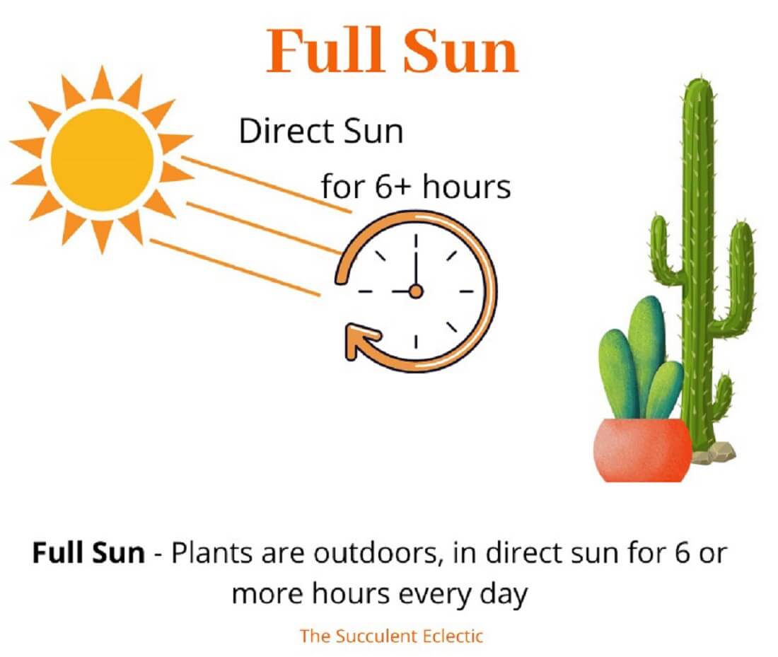 Direct Sun Full Sun Indirect Sunlight Understanding Sun Exposure For