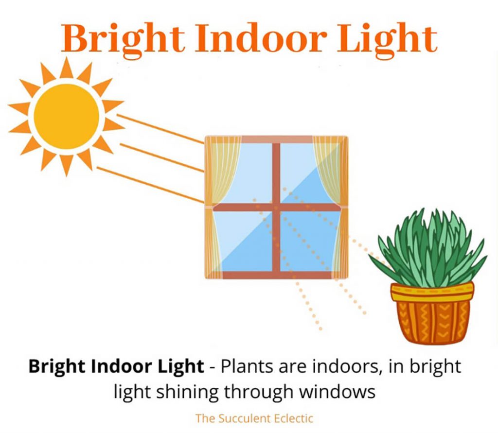 What Does Bright Indoor Light Mean 1 1024x891 