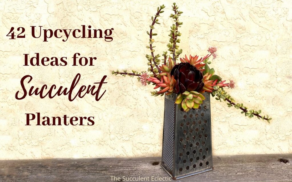 42 upcycling ideas for succulent planters