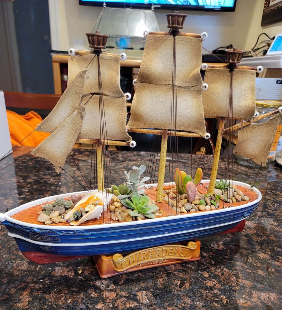 Upcycled Ghirardelli ship planted with succulents