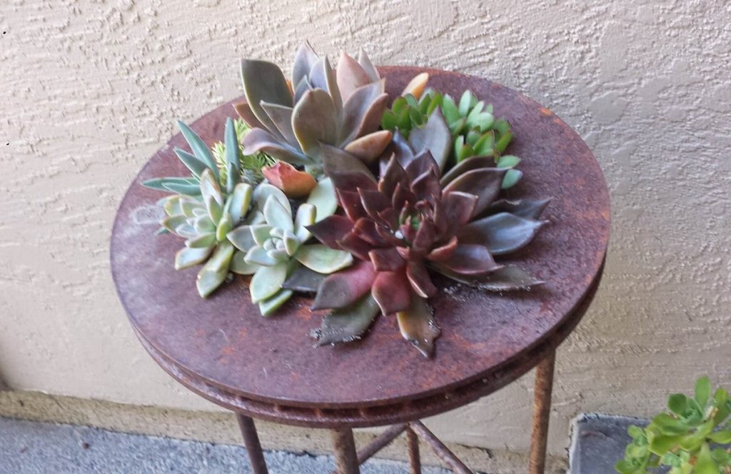 Upcycled planter made from brake disk
