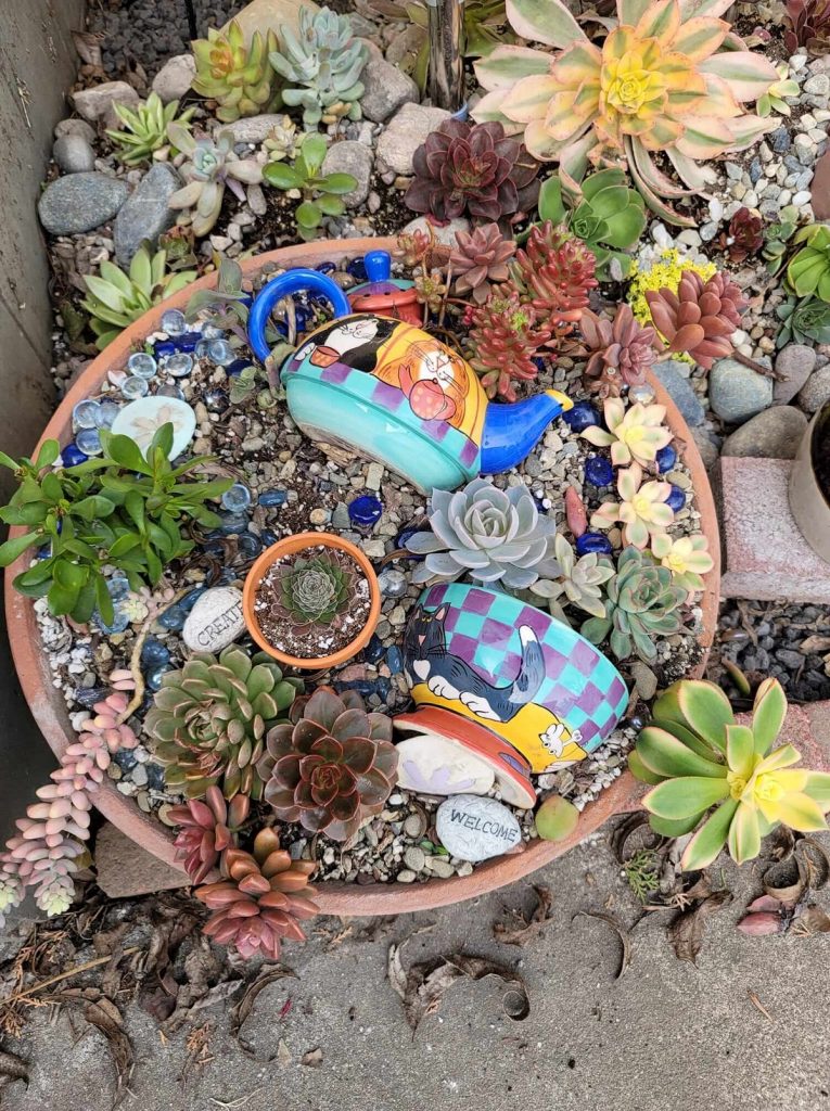 broken tea pot dresses up succulent planter