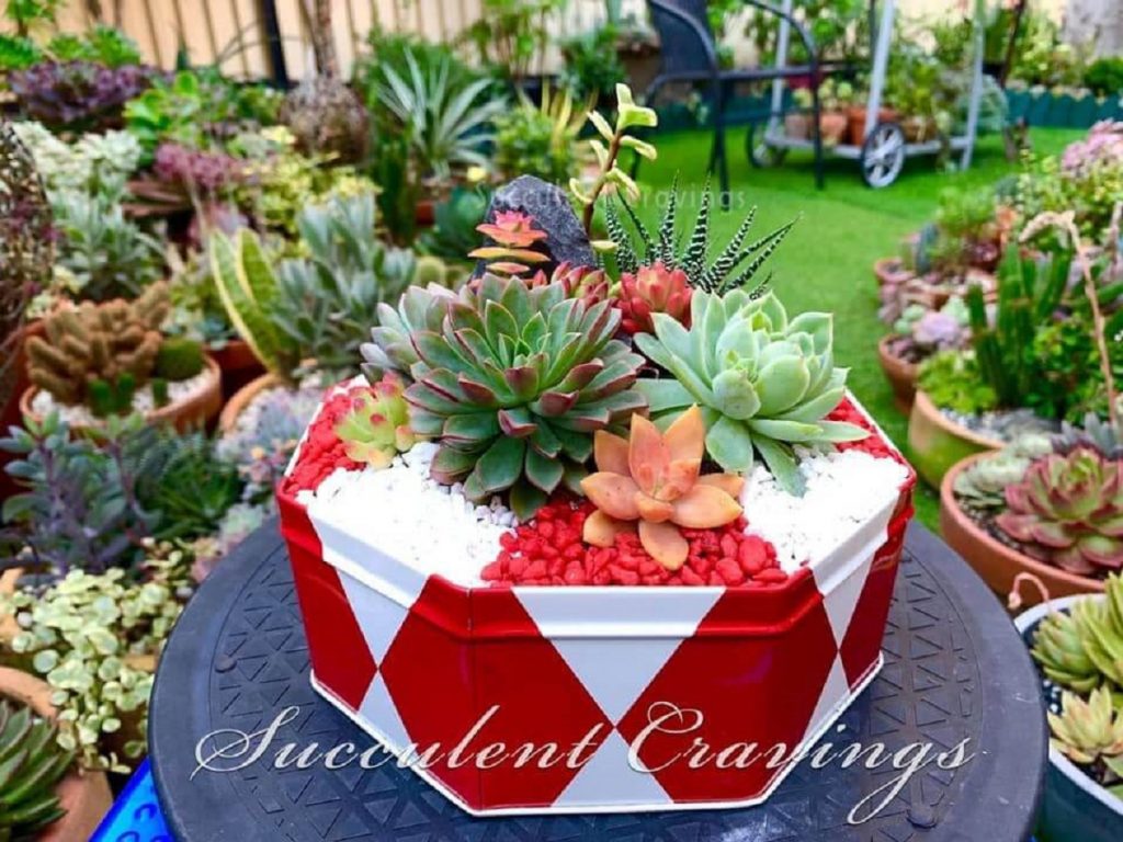 42 Upcycling Ideas for Succulent Planters