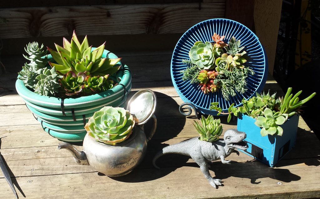 upcycling ideas for succulent planters