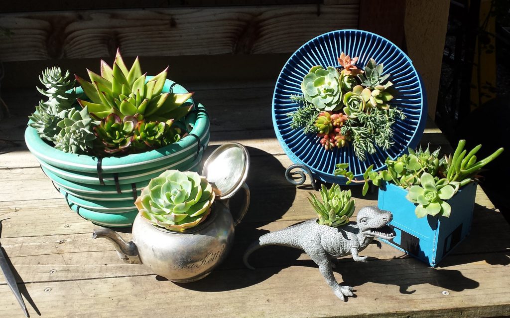 Creative recycling: how to transform old objects into succulent pot