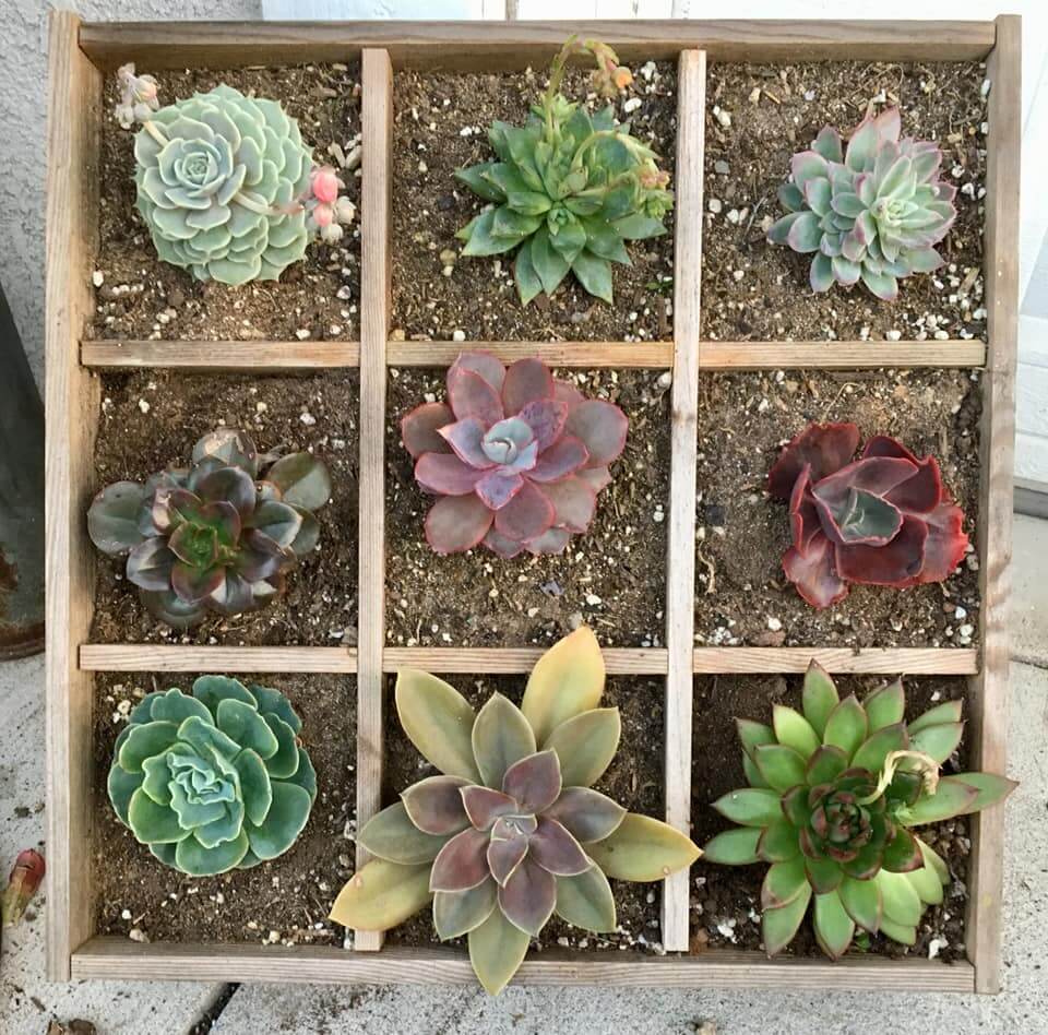 upcycled planters made from wood CD holder
