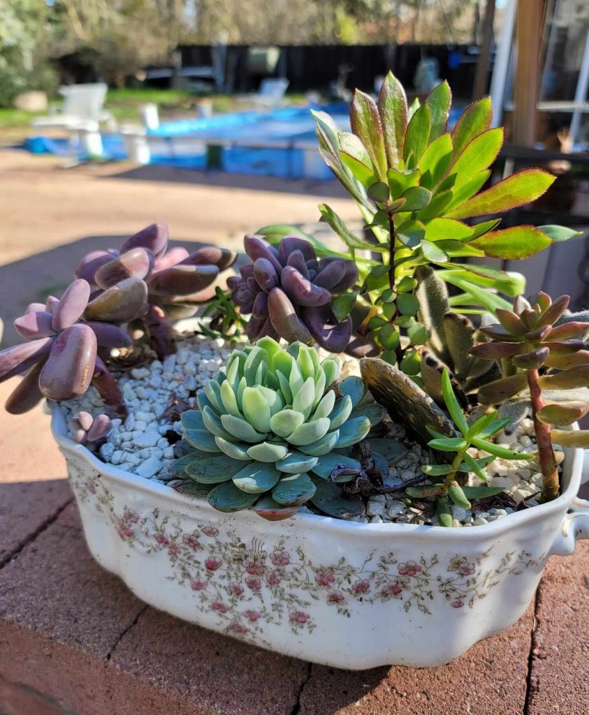 upcycled planter made from baking dish