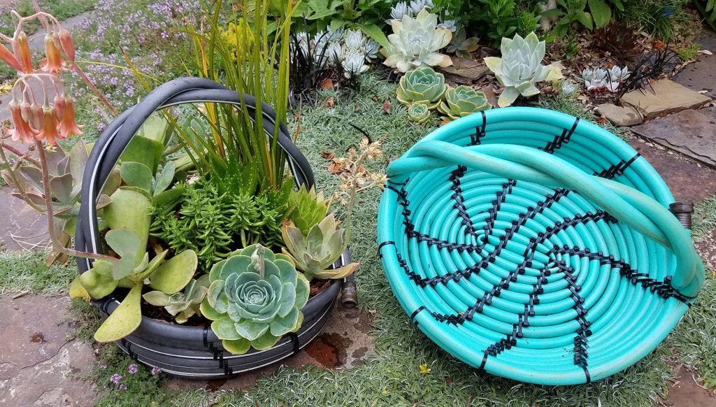 garden hose upcycled into succulent planter