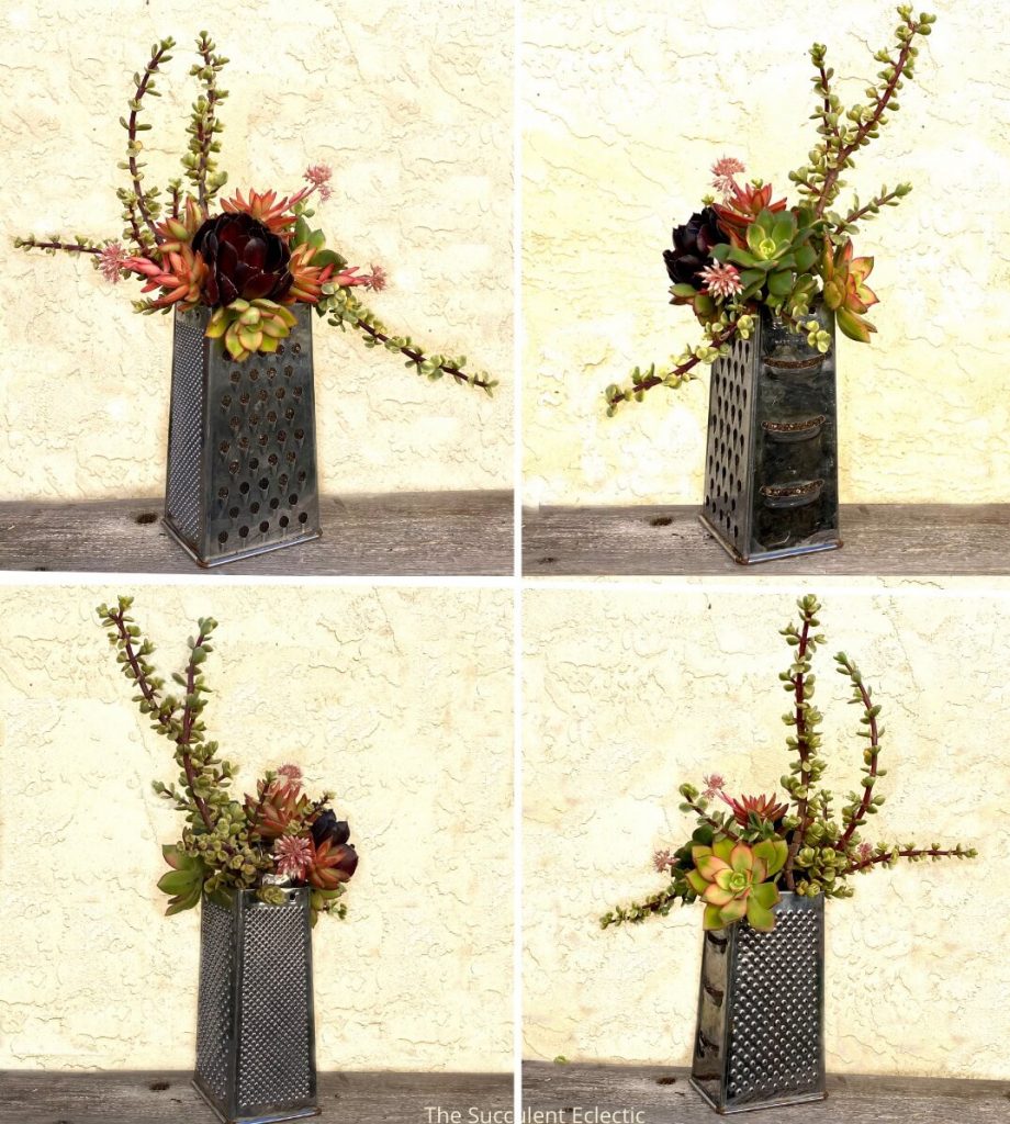 all four sides view of upcycled grater planted with succulents