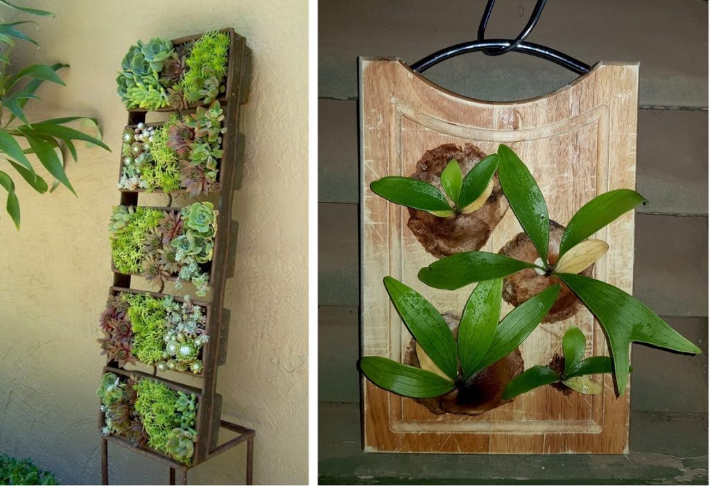 Upcycled bread pans and bread board become succulent planters