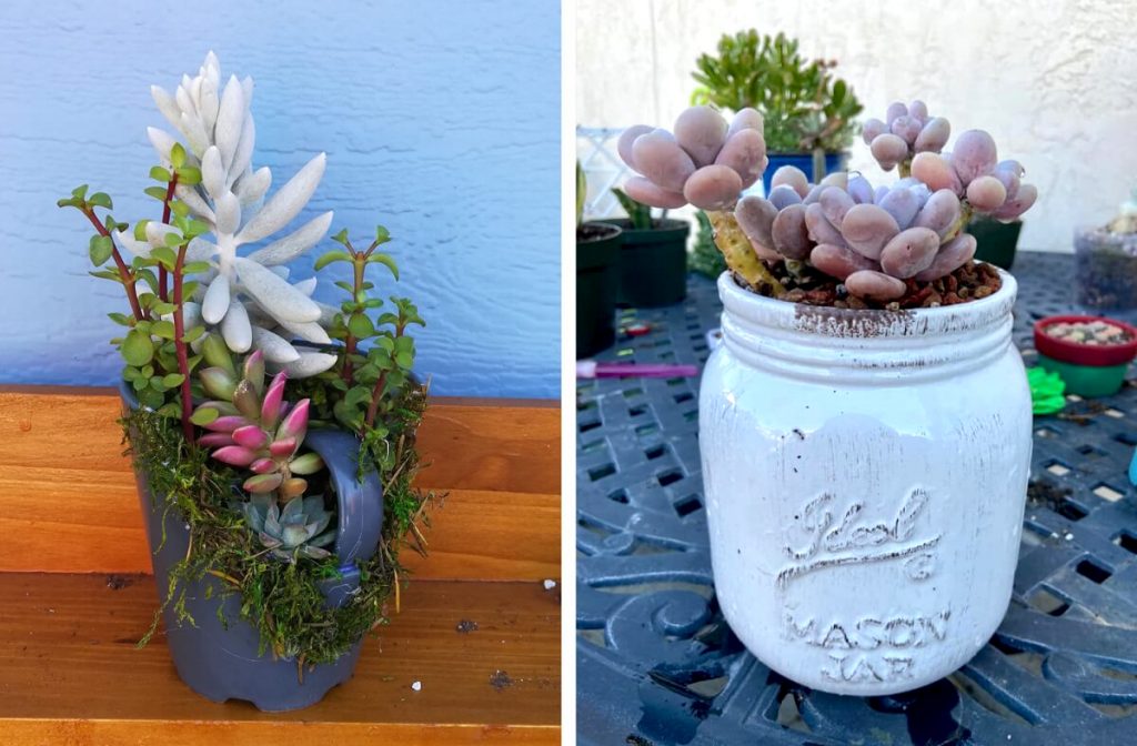 broken coffee mug and mason jar as upcycled planters for succulents