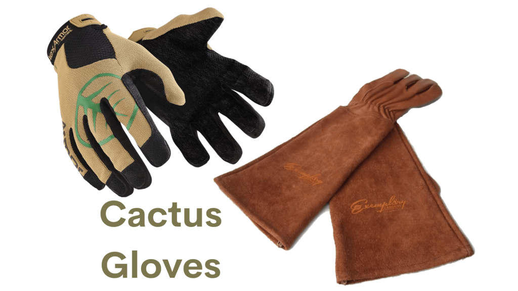 cactus gloves for handling cactus safely