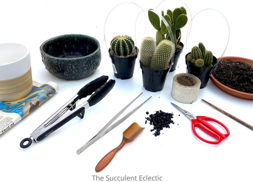 supplies for planting a cactus