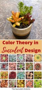 Basic Color Theory — Using a Color Wheel for Succulent Design | The ...