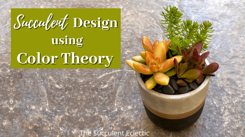 Succulent design using color theory