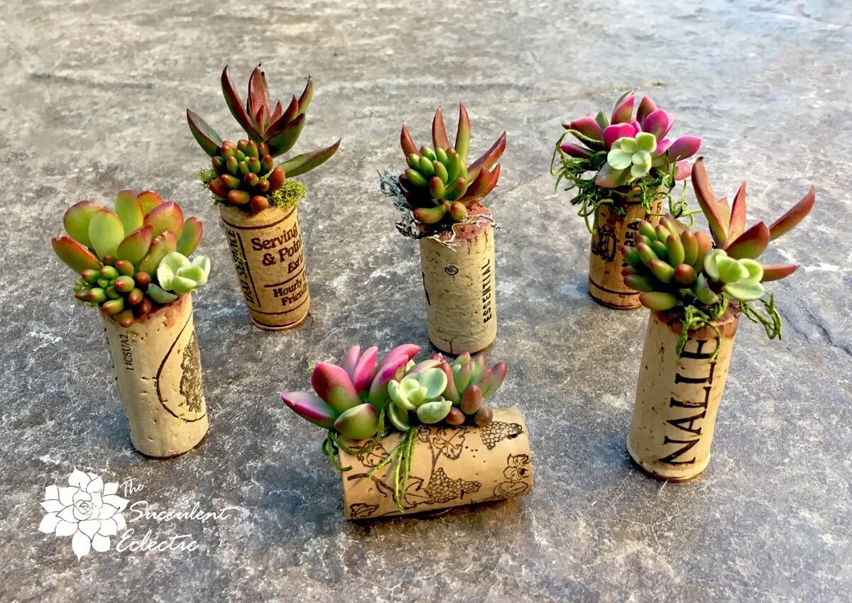DIY Wine Cork Succulent Mini Planters! The Succulent Eclectic
