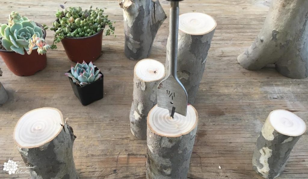 DIY succulent branch planters - start drilling the planting hole