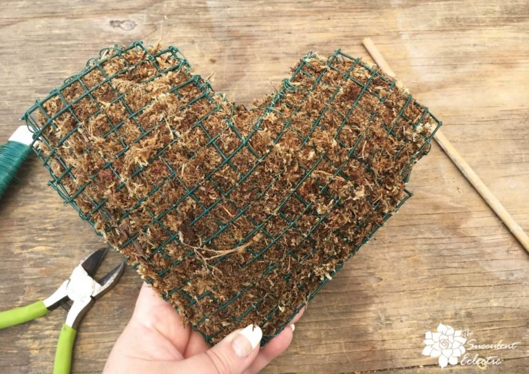 Simply Sensational DIY Succulent Topiary Heart The Succulent Eclectic