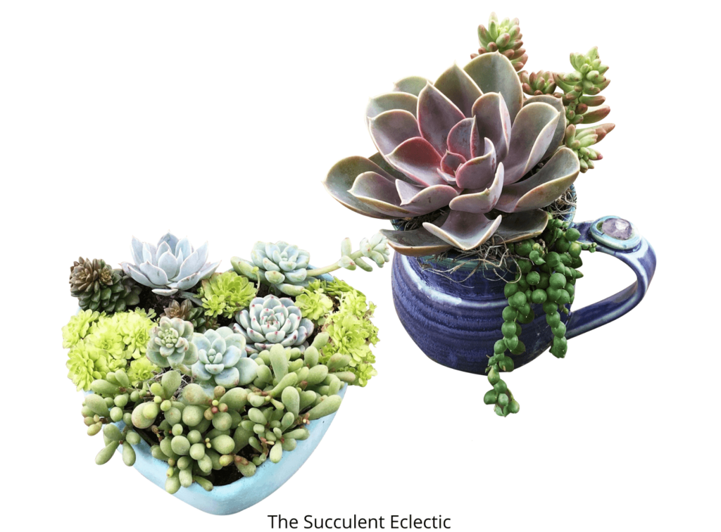succulent arrangements in a ceramic pot and concrete bowl - drilled drainage