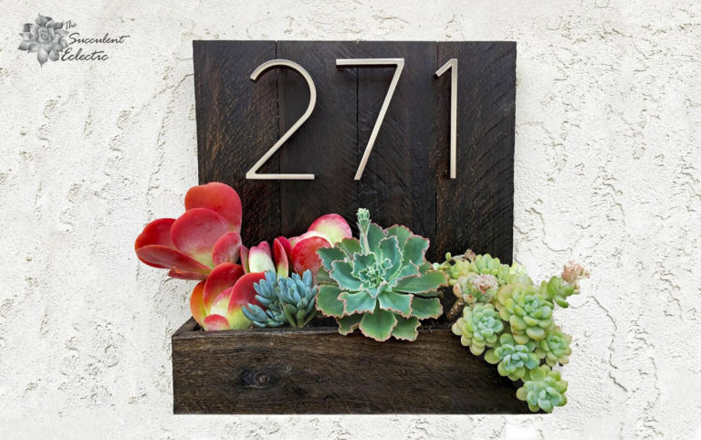 Father's Day DIY House Number Planter! | The Succulent Eclectic