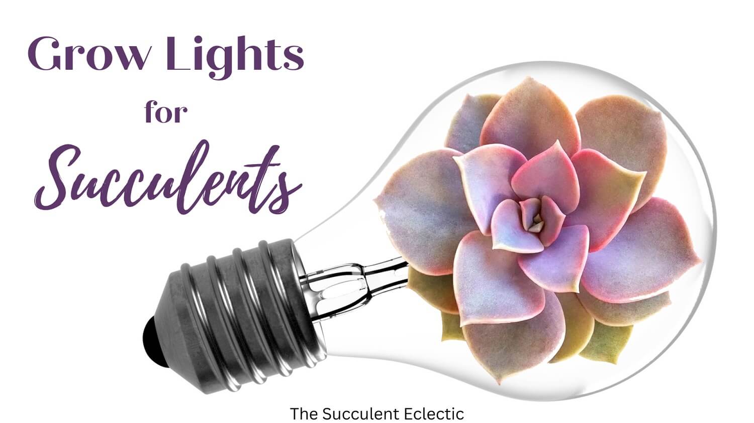 You are currently viewing Grow Lights for Succulents | A Simple Guide