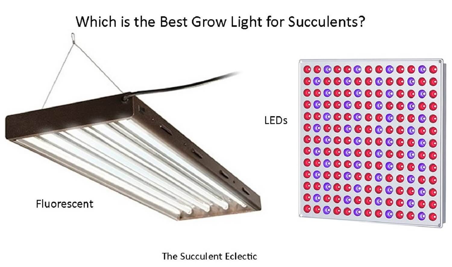 Grow Lights for Succulents A Simple Guide The Succulent Eclectic