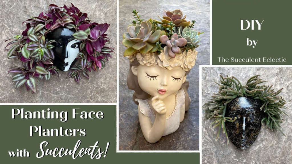Planting Face Planters and head planters with succulents