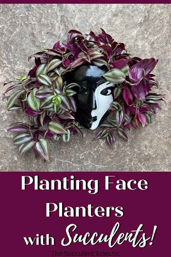 How to plant face planters and head planters with succulents
