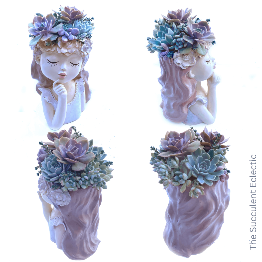 finished succulent head planter from four angles