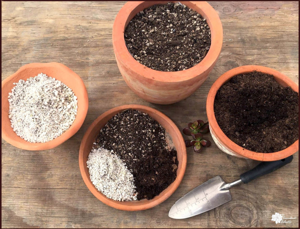 diy succulent soil ingredients potting mix pumice and coco coir