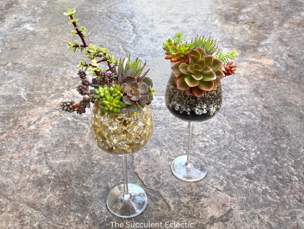 DIY succulent wine glasses, one planted in soil, the other in fire glass