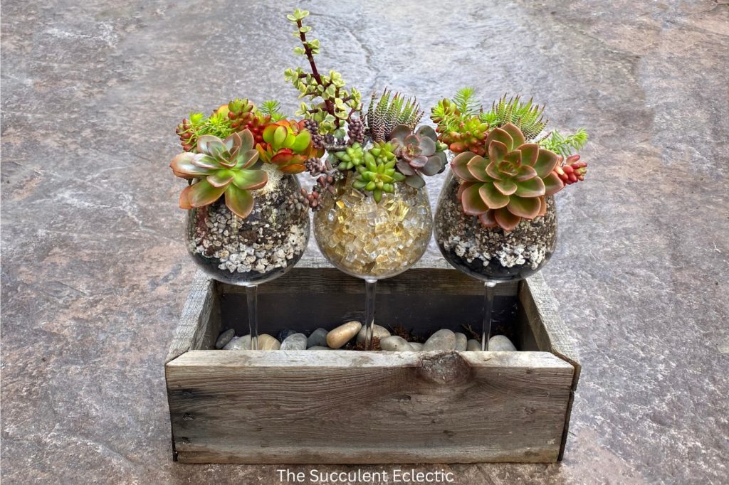 3 completed DIY succulent wine glasses in a reclaimed wood planter
