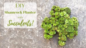 Read more about the article DIY Shamrock Planter + How to Make Any Shape Wire Planter!